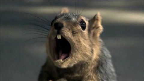 Bridgestone Scream Super Bowl video