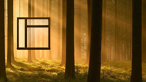 Window hanging in stylized forest