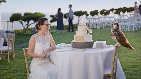 Bride sitting at table with wedding cake and owl