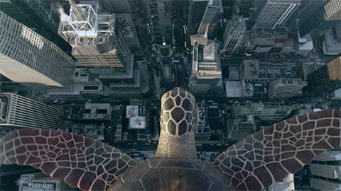 Turtle flying over city