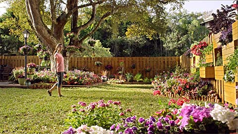 Child in yard full of colorful flowers