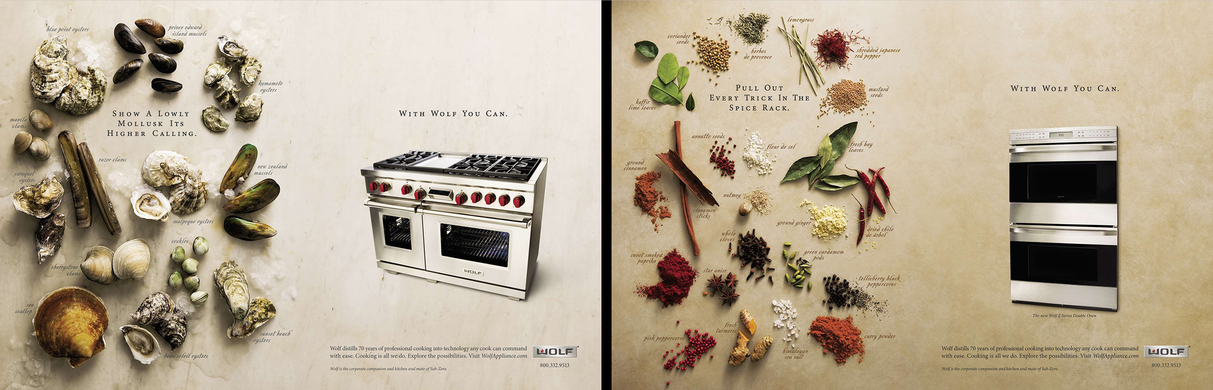 Examples of Wolf print ads showing appliances next to assorted food ingredients