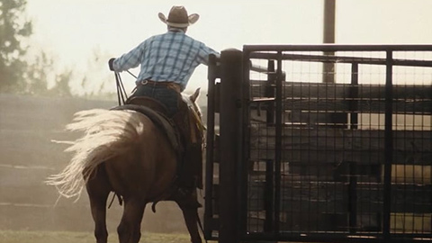 man on horse herding cattle