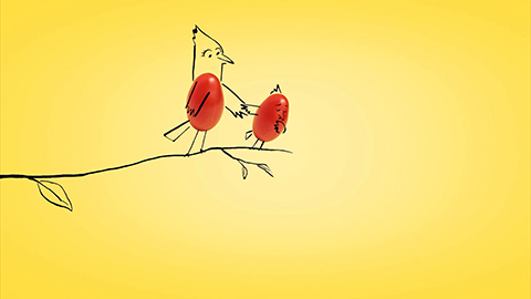 tomatoes with doodles to look like birds