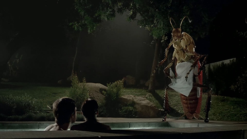 man and woman in hot tub with bug