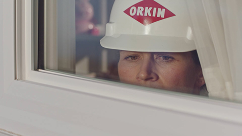 woman in hard hat inspecting window for bugs
