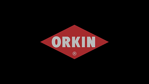 Orkin logo