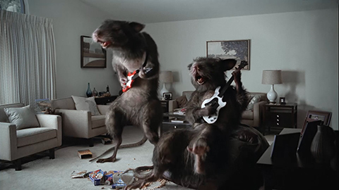 rats playing guitar hero