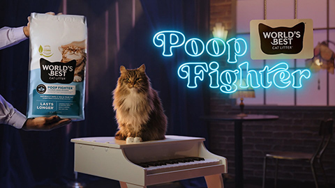 cat with LED Poop Fighter sign