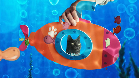 cat in fake submarine