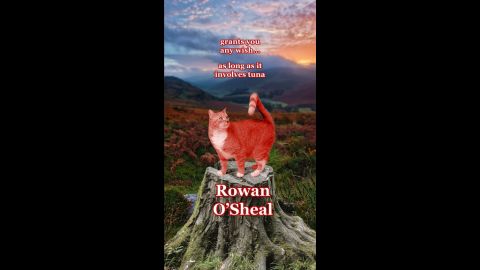 red cat on mountain