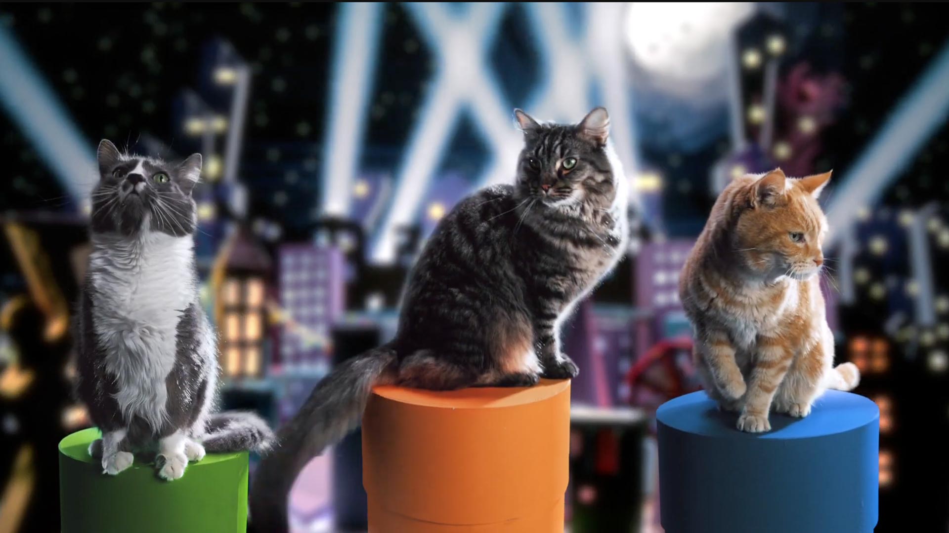 World's Best Cat Litter - 3 Big Chonks